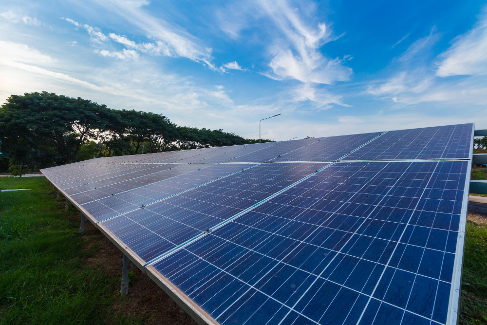 Năng lượng tái tạo ngày càng phát triển tại Việt Nam