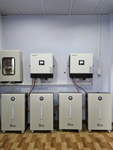 Hệ thống pin lưu trữ