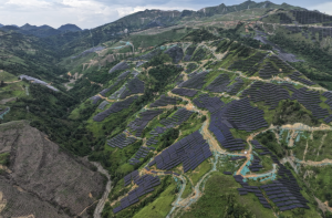 Điện mặt trời phủ kín một vùng đồi núi. Ảnh: Trina Solar