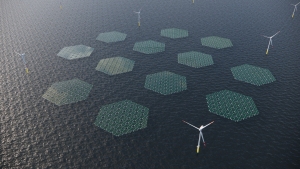 Dự án Nymphaea Aurora do Oceans of Energy triển khai thành công tại Cảng Amsterdam. Hệ thống gồm 1.400 tấm pin mặt trời lắp đặt xen kẽ vào hạ tầng của trang trại gió ngoài khơi, giúp tối ưu hóa hiệu suất truyền tải của mạng lưới điện sẵn có. Ảnh AFP