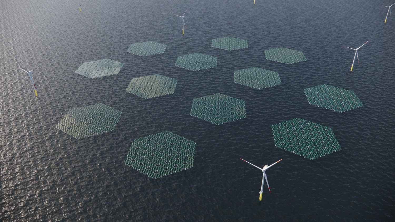 Dự án Nymphaea Aurora do Oceans of Energy triển khai thành công tại Cảng Amsterdam. Hệ thống gồm 1.400 tấm pin mặt trời lắp đặt xen kẽ vào hạ tầng của trang trại gió ngoài khơi, giúp tối ưu hóa hiệu suất truyền tải của mạng lưới điện sẵn có. Ảnh AFP