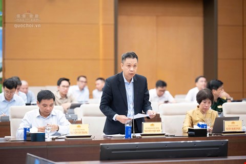 Thứ trưởng Bộ Công Thương Nguyễn Việt Sơn. ẢNH: media QH